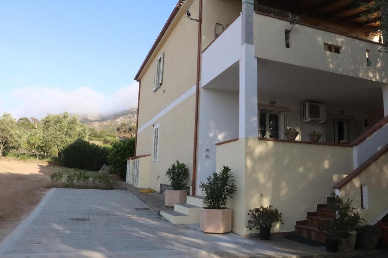 casa oleandri Villa Golfo Aranci Exterior foto